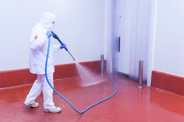 Reliable Lewiston, MN Pressure Washing Services Solutions